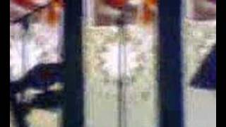 La Casa Azul - El momento mas feliz