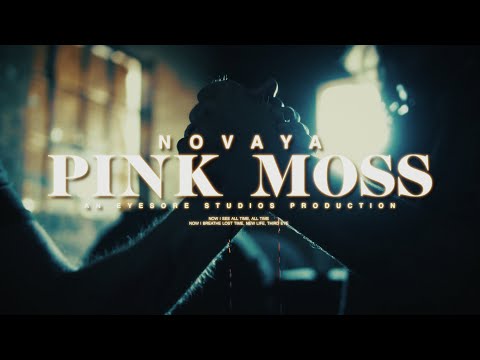 Novaya - Pink Moss (Official Music Video)