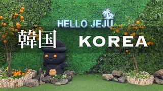 韓国観光（済州島バイクレンタル→ 月汀里海岸→黒豚通→東門市場→万歳ククス→イースター航空→POOL HOUSE MOTEL→上党山城→ソンアンキル→サムギョプサル通→ユッコリ市場→三一公園→帰国）