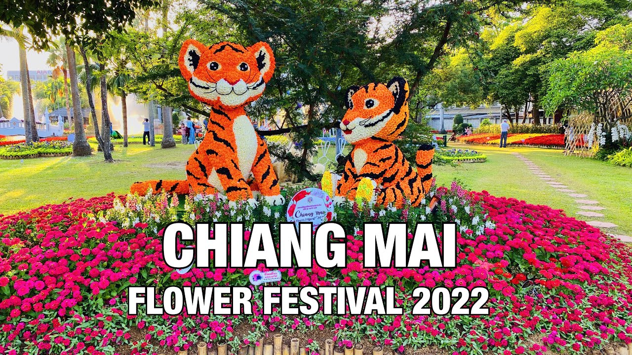 Embark on a vibrant journey through Chiang Mai's captivating Flower Festival.