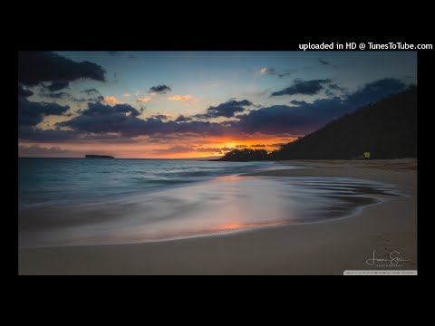 DAVE ANDRES & DEMETRA - TROPICANA