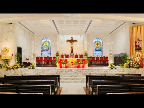 12 th Sunday in Ordinary Time - A - 21.06.2020 - 6.30 am Holy Mass