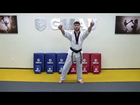 Taekwondo Follow Along Class   White Belt   Class #1