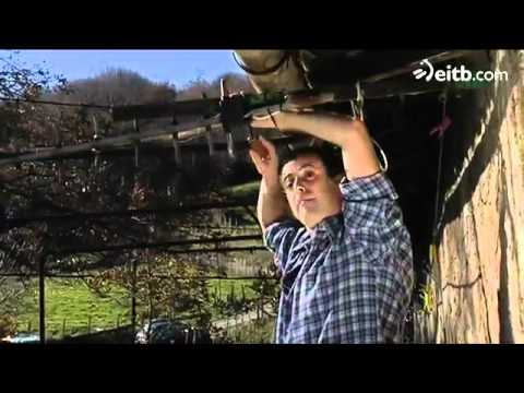 Vaya Semanita Cambio Radical - Episodio 9