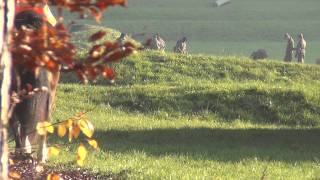 Döner Morde: Swiss Nazi Connection