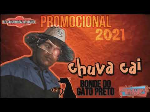 BONDE DO GATO PRETO FEVEREIRO 2021 MÚSICA CHUVA CAI
