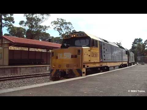 G's, XR's & DL's lead SCT Trains: Best of SCT in South Australia