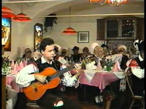 Gregor Avsenik - Kitara romance