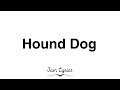 Hound Dog Elvis Presley Lyrics