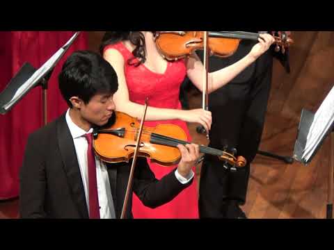 Karl  Jenkins -  Concerto Grosso Palladio for strings