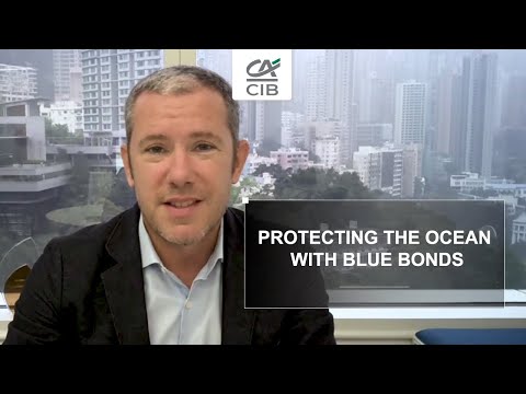 All you need to know about blue bonds  | Crédit Agricole CIB