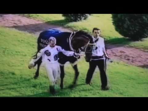 Nagroda Kozienic - 9.08.1998 - Bongiorno  (Canadian Winter - Biba)