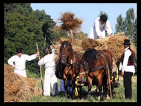 Dario Plevnik & Zlatni Dukati & Time out - Slavonski konji
