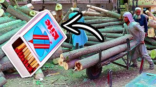 תהליך מדהים של התאמה