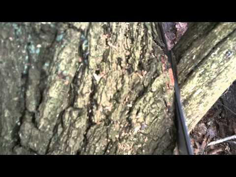 Entasten mit der Onboardcam 02