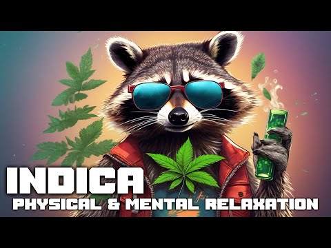 Indica Physical & Mental Relaxation | High Dope Raccoon Smoke Weed And Listen Space LoFi Chill Music