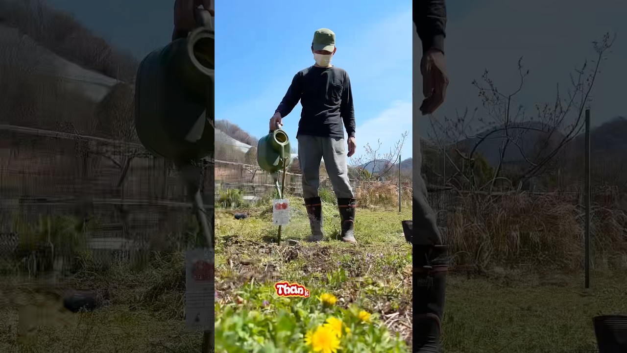 New Life in the Garden #garden #gardening