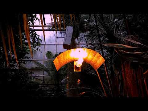 August orgasm - YouTube