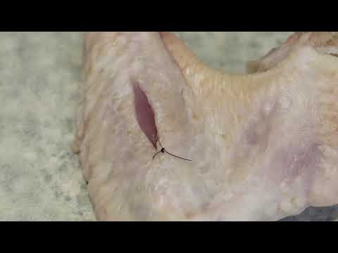 Basic techniques in veterinary surgery: simple interrupted suture