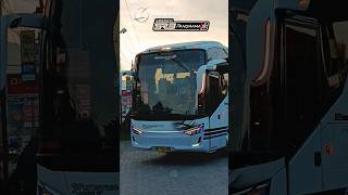 Download lagu ✅️ RILIS‼️Bus Baru PURNAYASA TRANS Single Glass Ganteng Glowing #bus #busmania #buspurnayasa #shorts mp3 Download lagu ✅️ RILIS‼️Bus Baru PURNAYASA TRANS Single Glass Ganteng Glowing #bus #busmania #buspurnayasa #shorts mp3