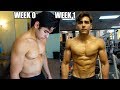 How to Build Muscle in 1 Week
