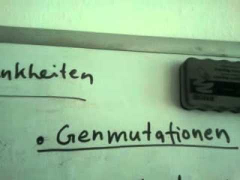 Genetisch bedingte Krankheiten: Genmutationen