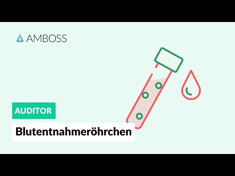 Leben mit einer Niere Diabetikern Wie Therapie für Diabetes