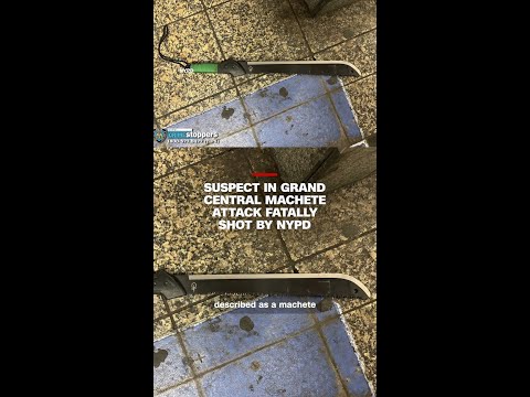 Suspect in Grand Central machete attack fatally shot by NYPD