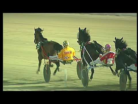 Trotto 28/11/2020 - 8ª corsa