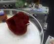 Tickle Me Elmo