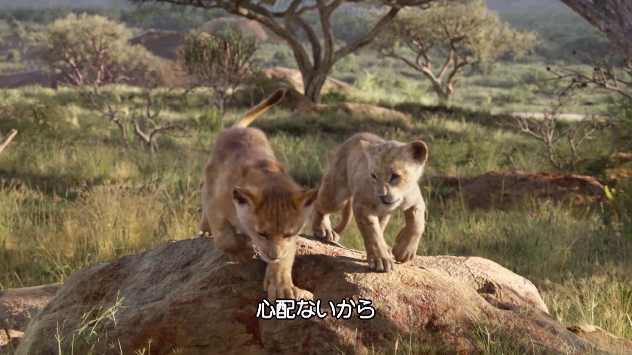 ライオン・キング 本編プレビュー映像