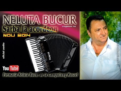 NELUTA BUCUR . Sarba la acordeon [1] (live audio)