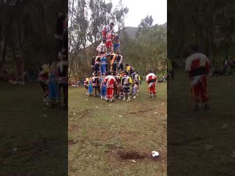 Negrillos de andahuaylas