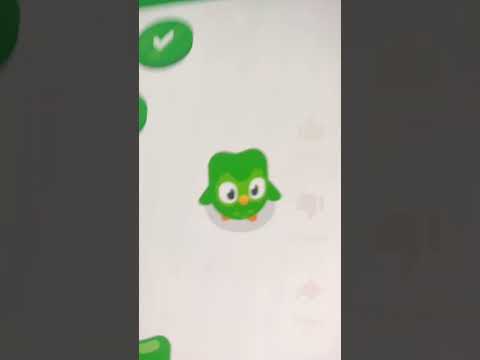 Duolingo song