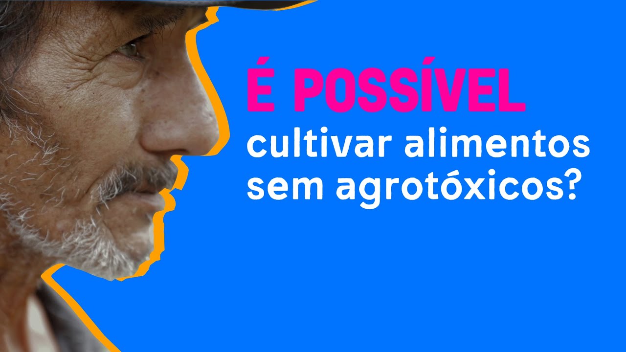 É possível cultivar alimentos sem agrotóxicos?