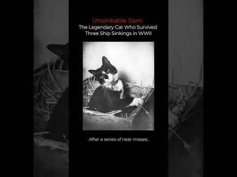 Unsinkable Sam: The Legendary Cat Who Survived Three Ship Sinkings in WWII