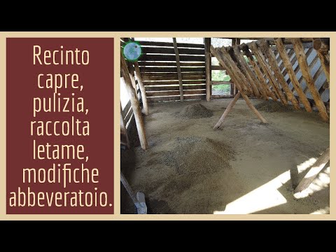 Recinto capre, pulizia, raccolta letame, modifiche abbeveratoio.
