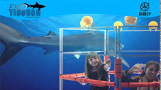 DIA 2 Expo Tiburon183