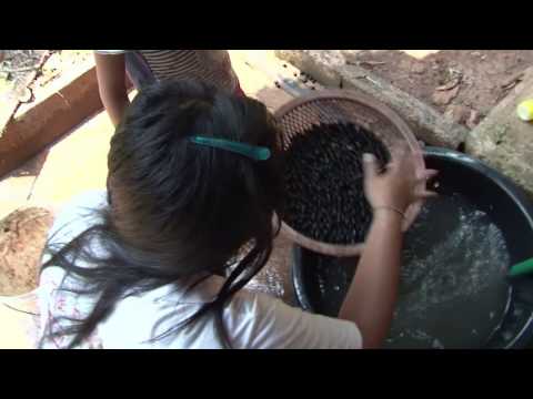 download lagu mp3 mp4 Kaffe Elefant, download lagu Kaffe Elefant gratis, unduh video klip Kaffe Elefant