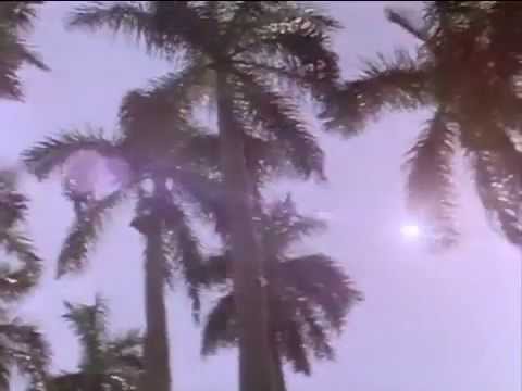 Corrupción en Miami - Intro