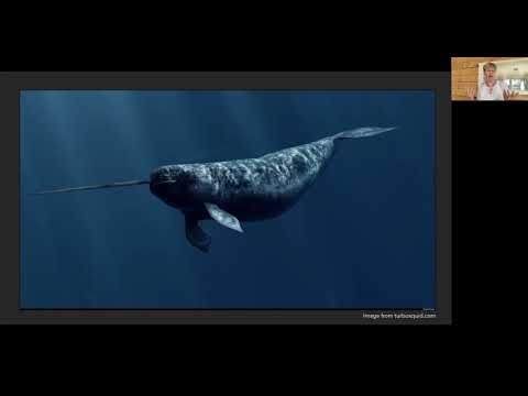 Science, ethics and politics in the sustainable management of narwhal in East Greenland