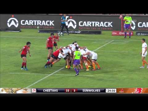 Super Rugby: Cheetahs v Sunwolves (Round 8)
