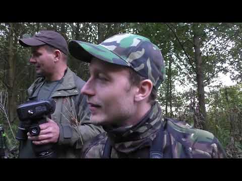 Drömmen om kronhjorten med Pierre Ferraud Norberg