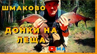 Ссылка