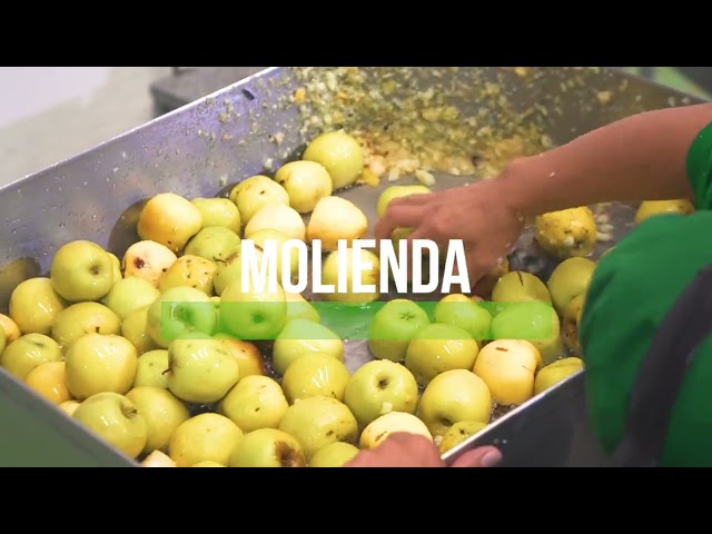 imagen-video-thefoodtech