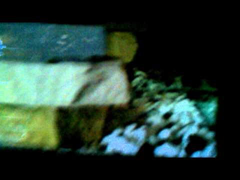 New turtle tank setup 75 gallons