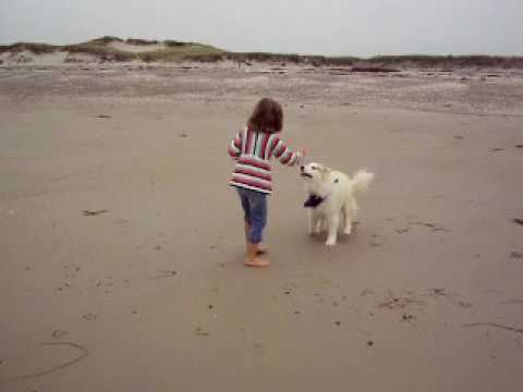 Praia nos Estados Unidos: Menina e a cachorrinha