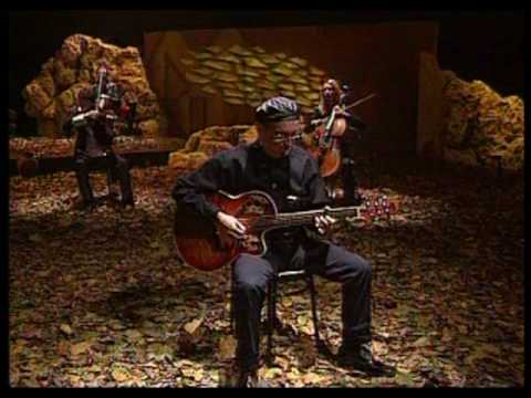 Vladan Vuckovic Paja - Gergina - (Official video)