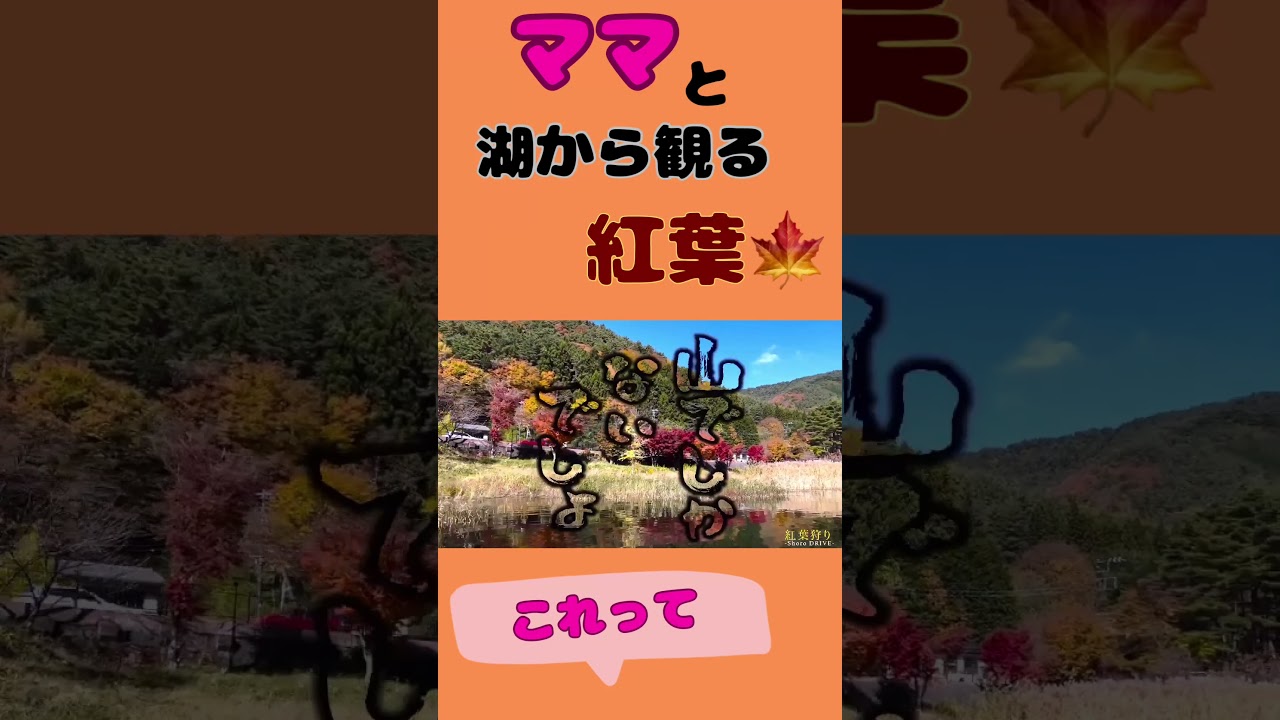 【ヒロミ&伊代】湖から観る紅葉🍁分かっていただけます？ #ヒロミ　#松本伊代　#shorts