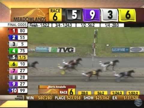 2014 Merrie Annabelle Final - theharnessedge.com